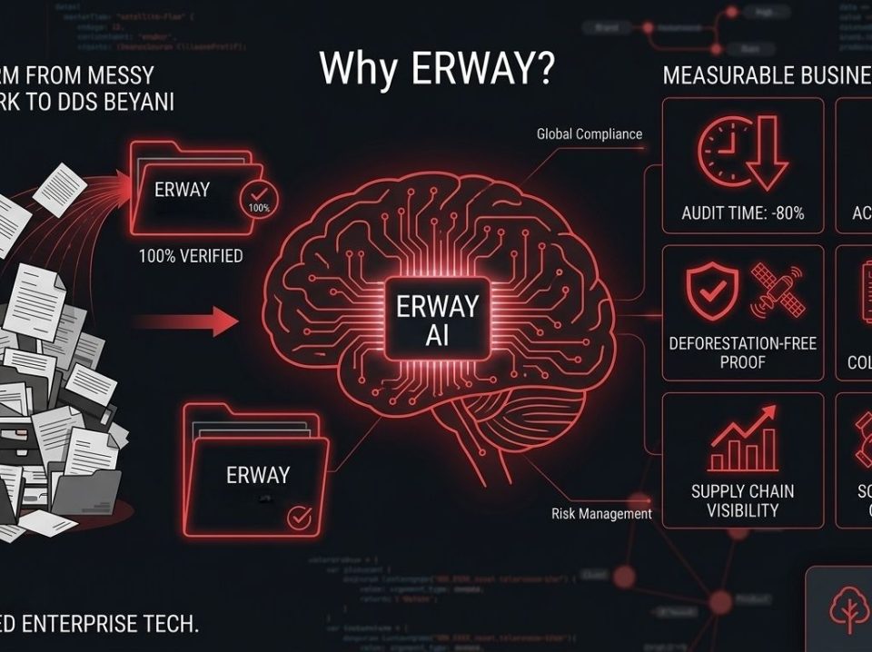 why_erway